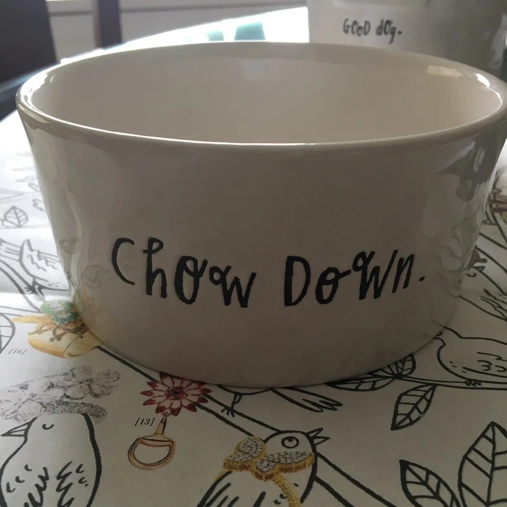 Rae Dunn dog food bowl etched with “Chow down”